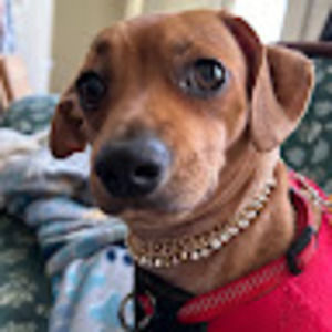 Meet your Posher, Rosemarie